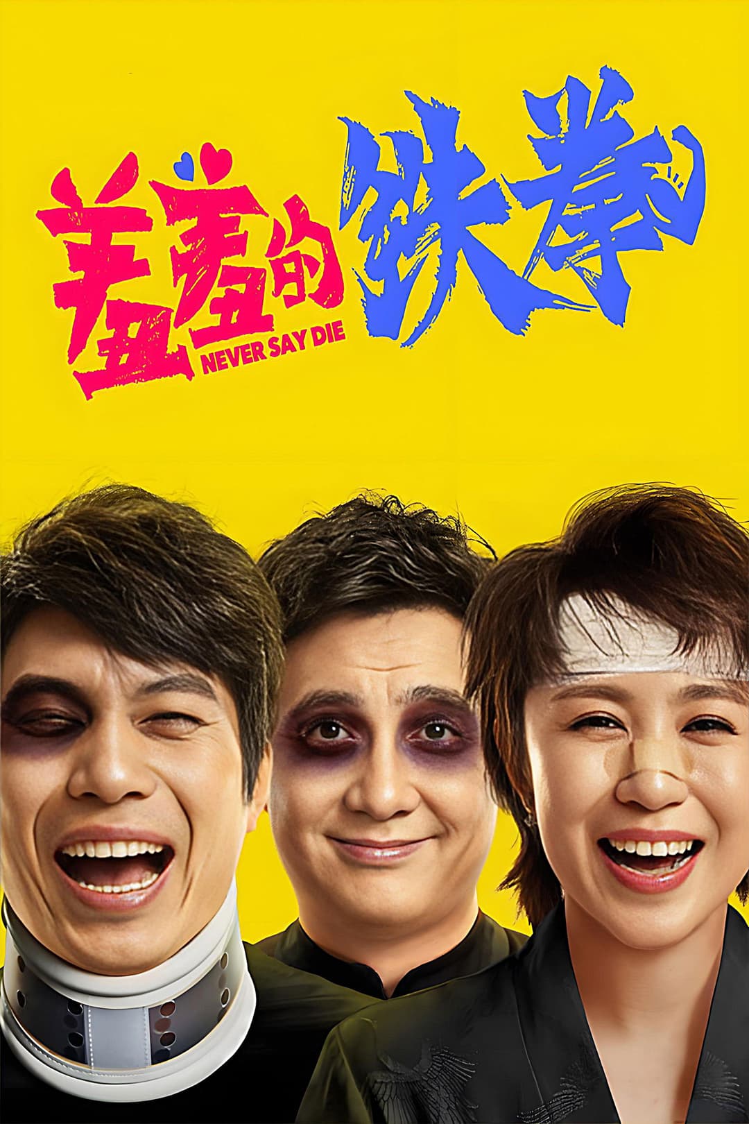 Poster di Never Say Die