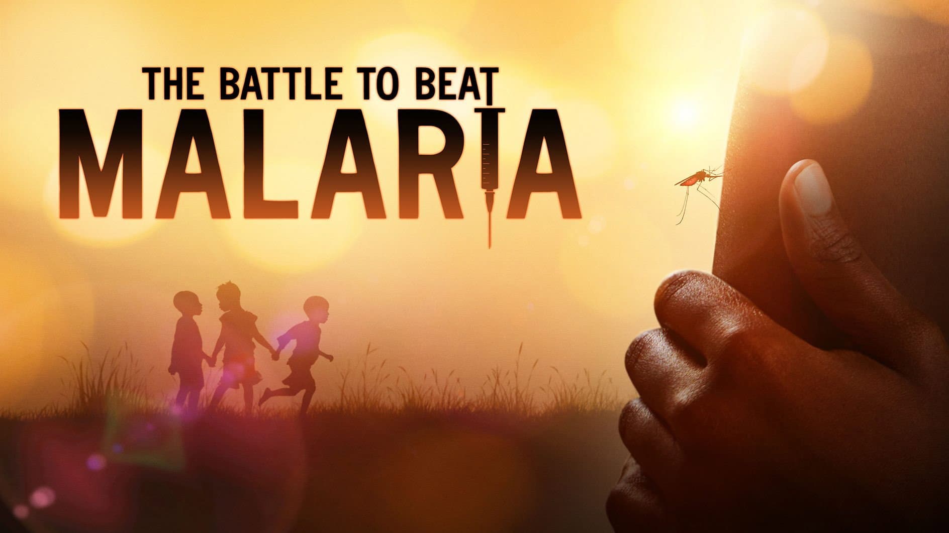 The Battle to Beat Malaria - immagine