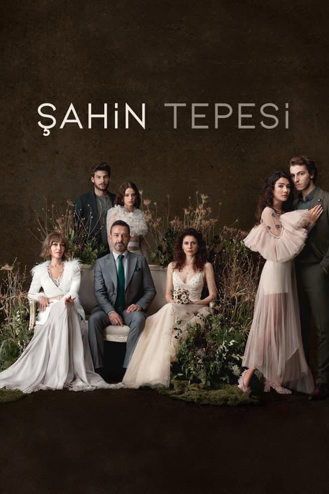 Poster di Şahin Tepesi