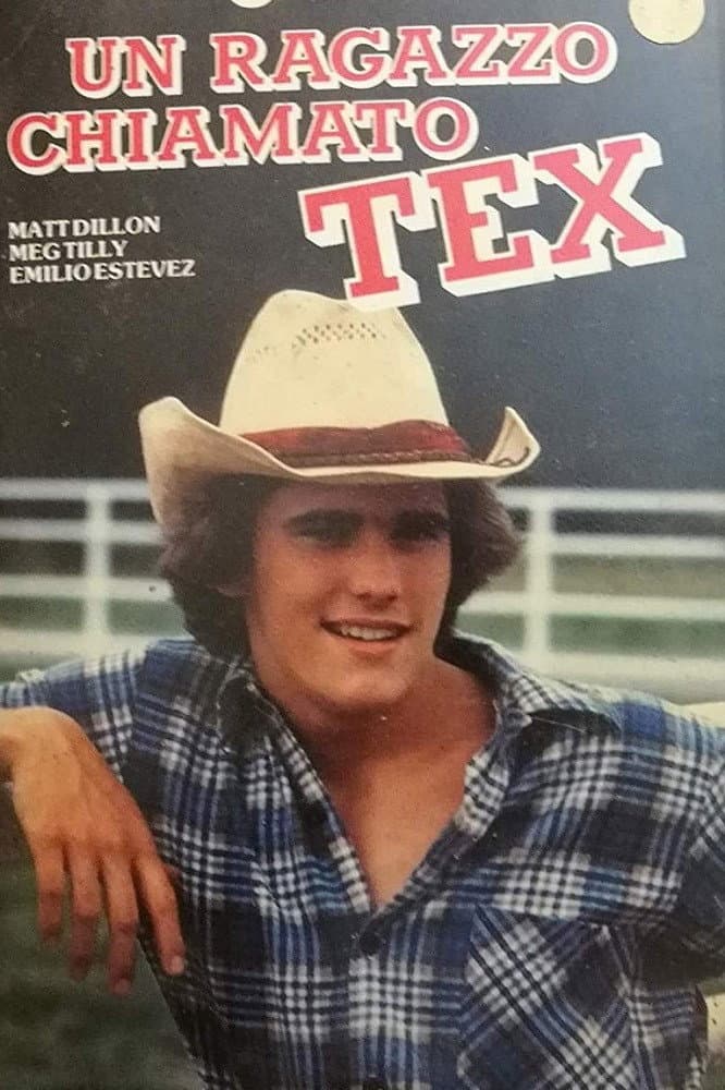 Poster di Un ragazzo chiamato Tex