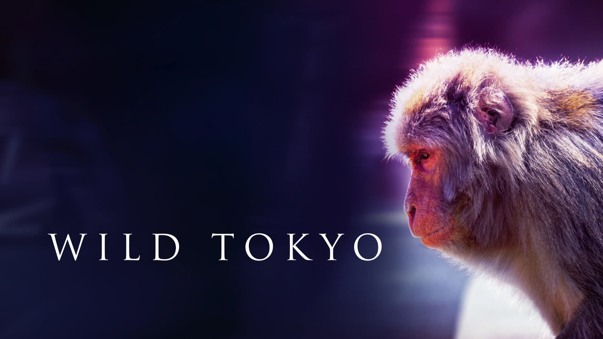 Wild Tokyo - immagine