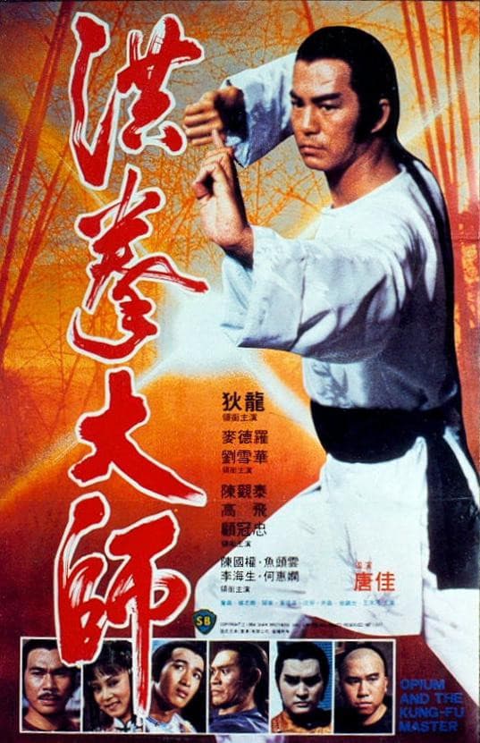 Poster di 洪拳大師