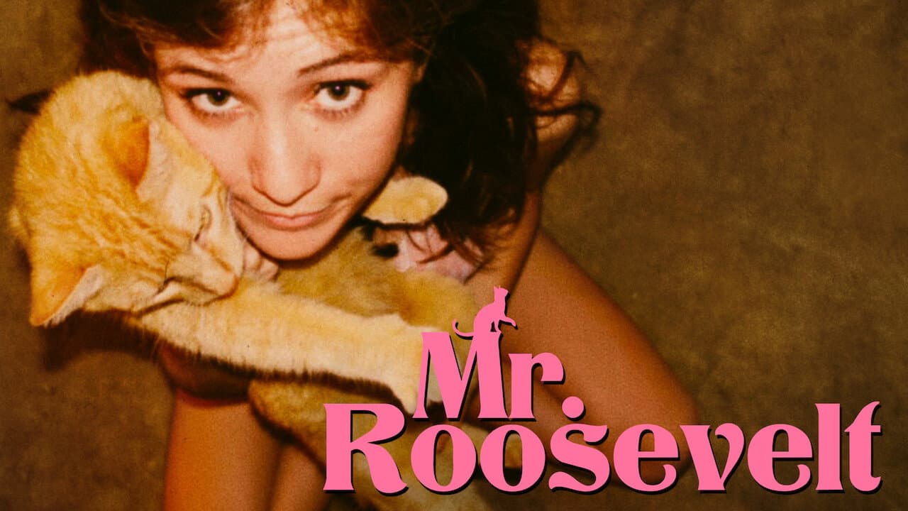 Mr. Roosevelt - immagine