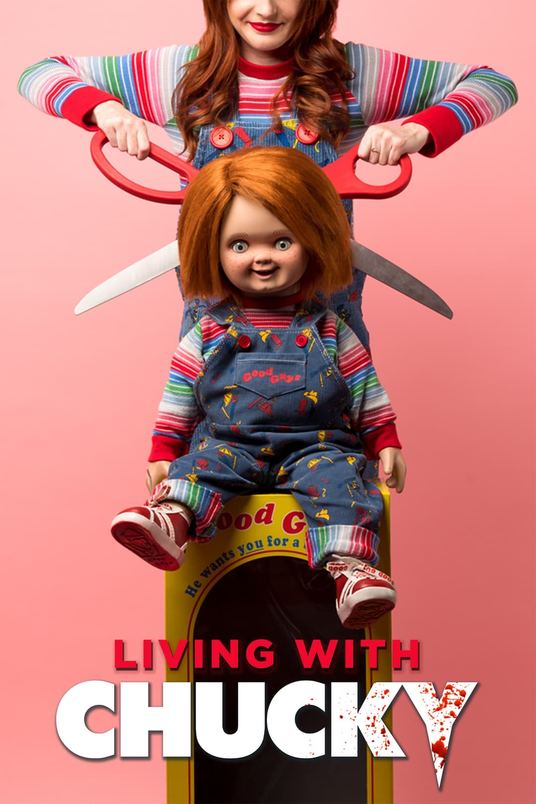 Poster di Living with Chucky