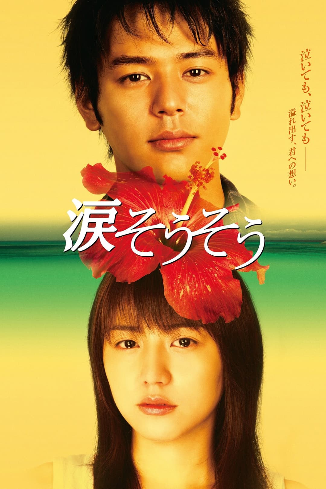 Poster di 涙そうそう