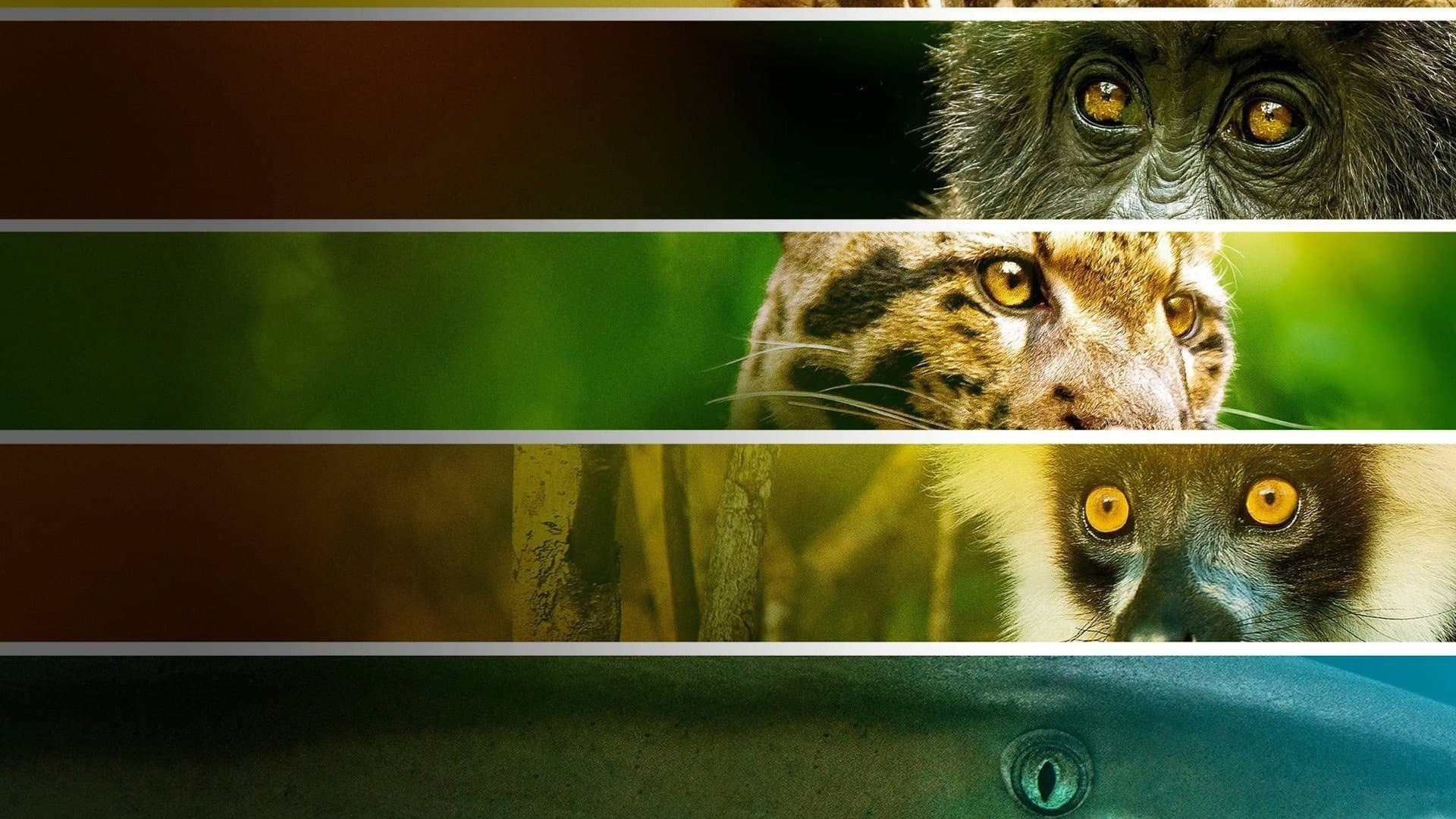 Endangered - immagine