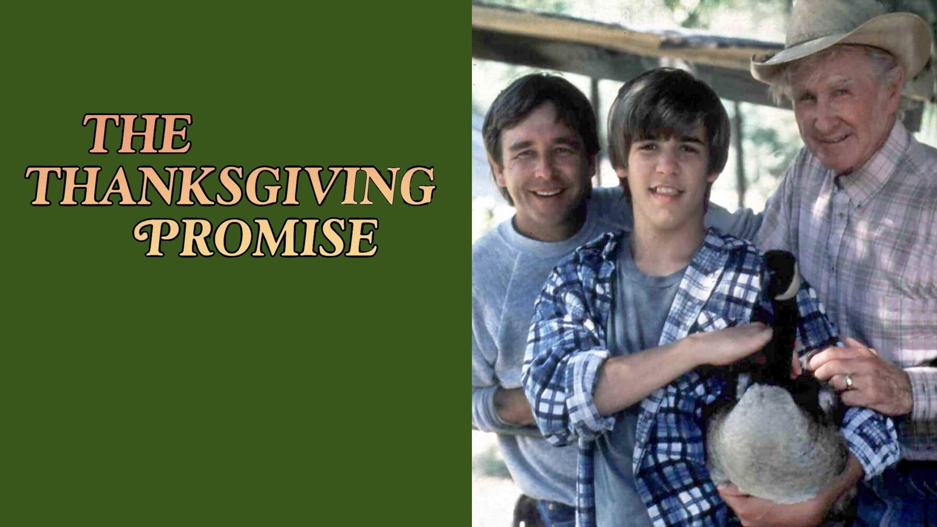 The Thanksgiving Promise - immagine