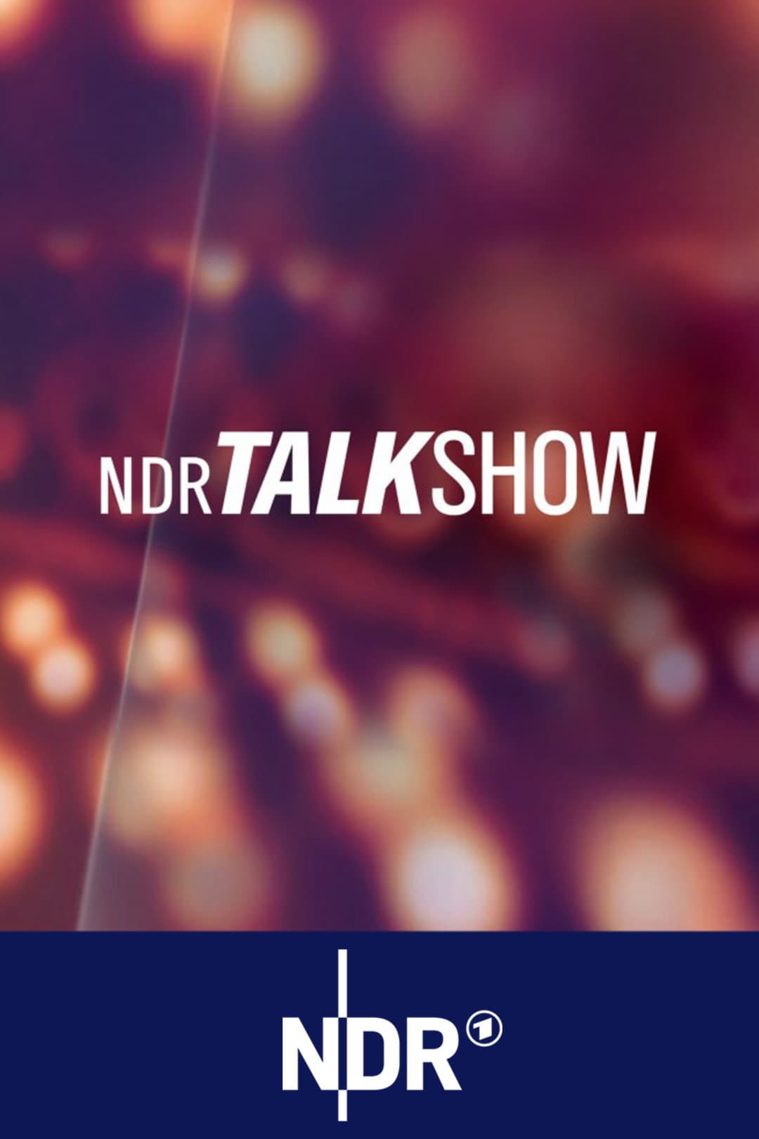 Poster di NDR Talk Show