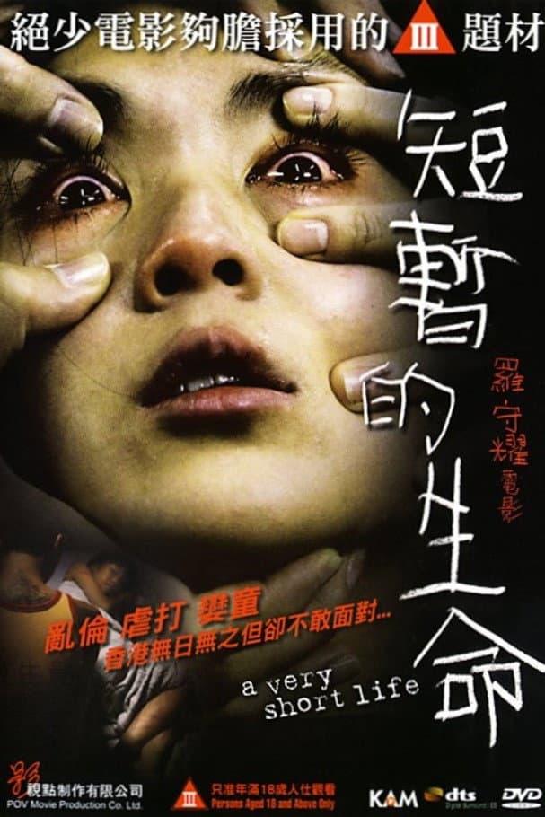 Poster di 短暫的生命