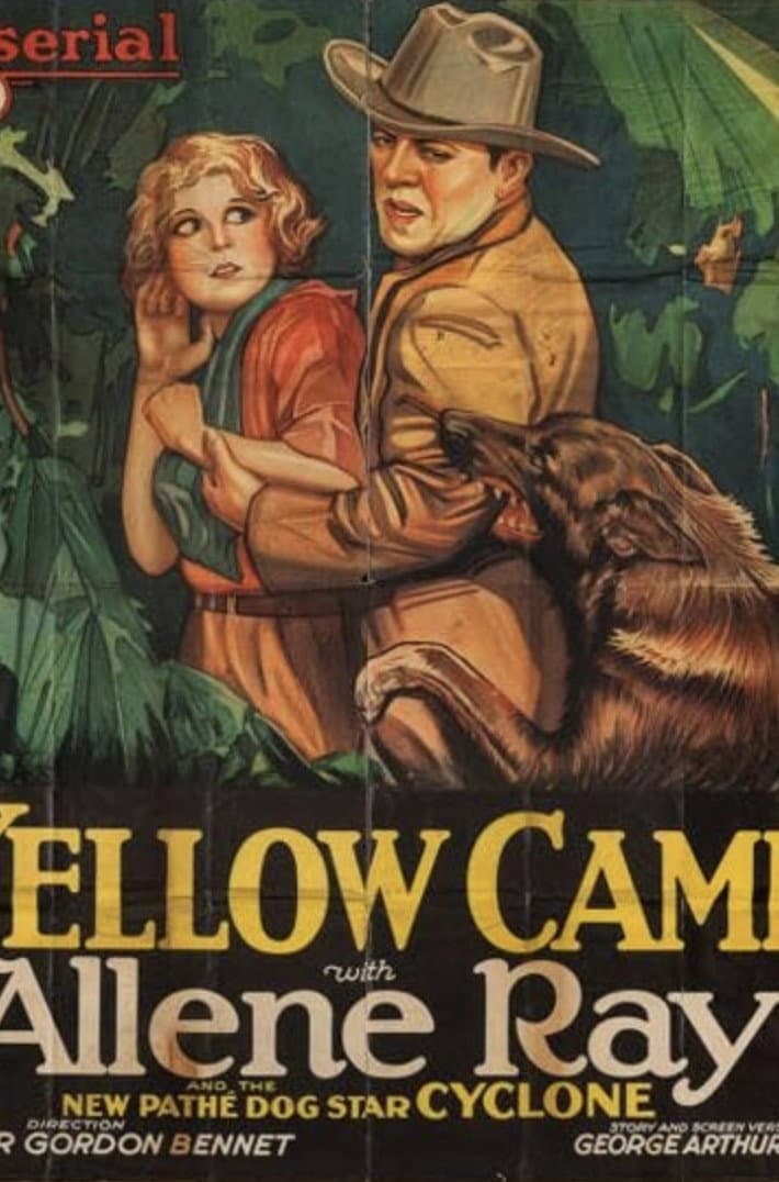 Poster di The Yellow Cameo