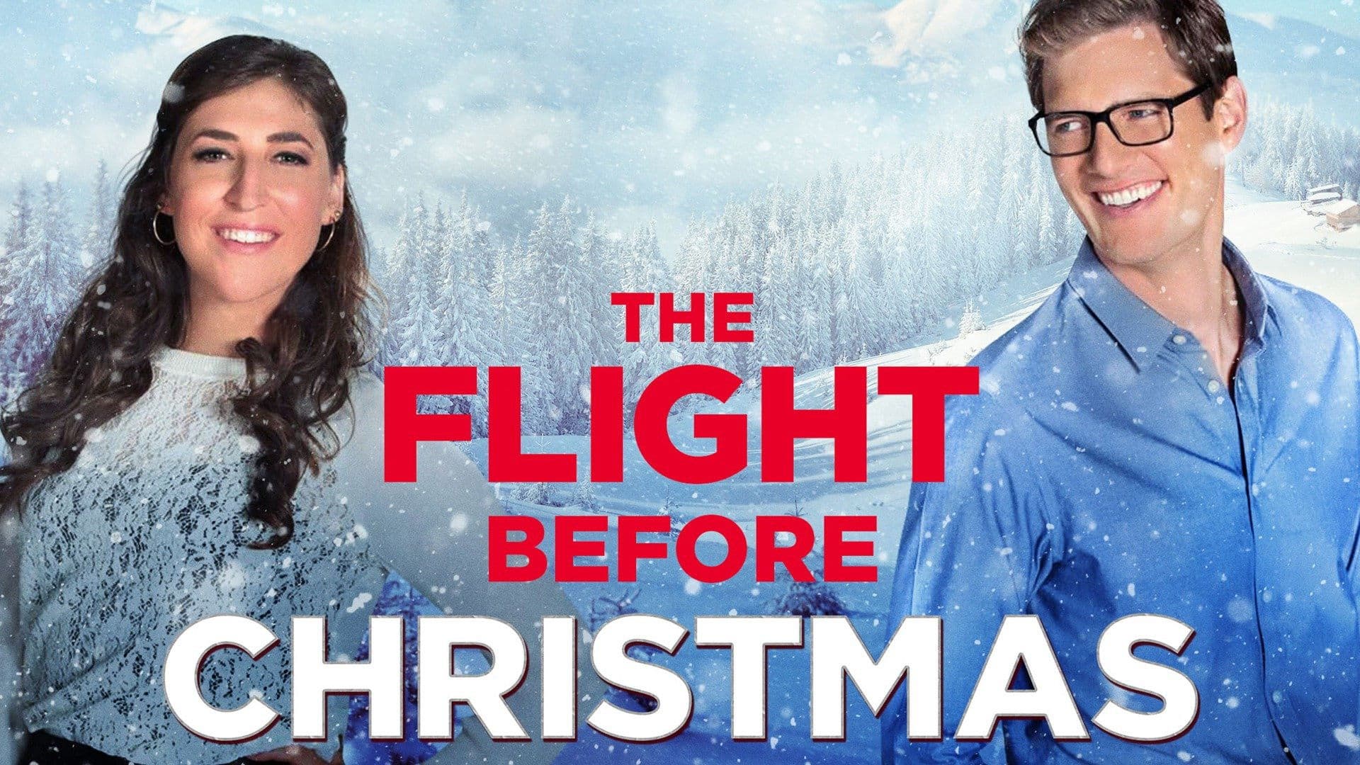 Un volo a Natale - immagine