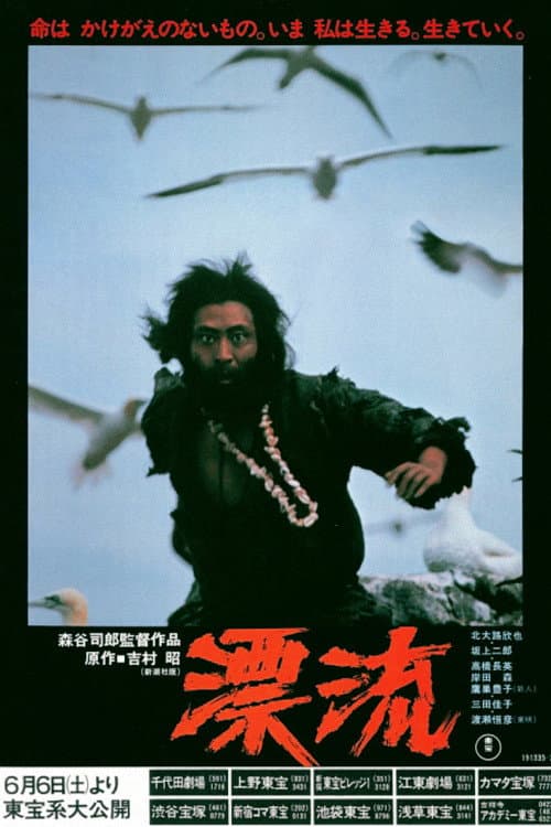 Poster di 漂流