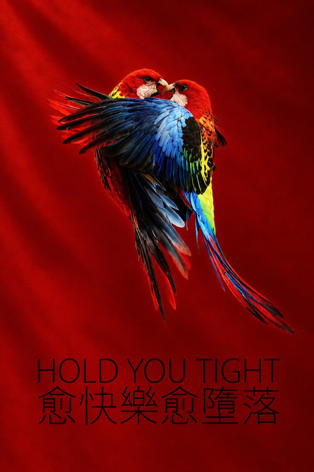 Poster di Hold You Tight