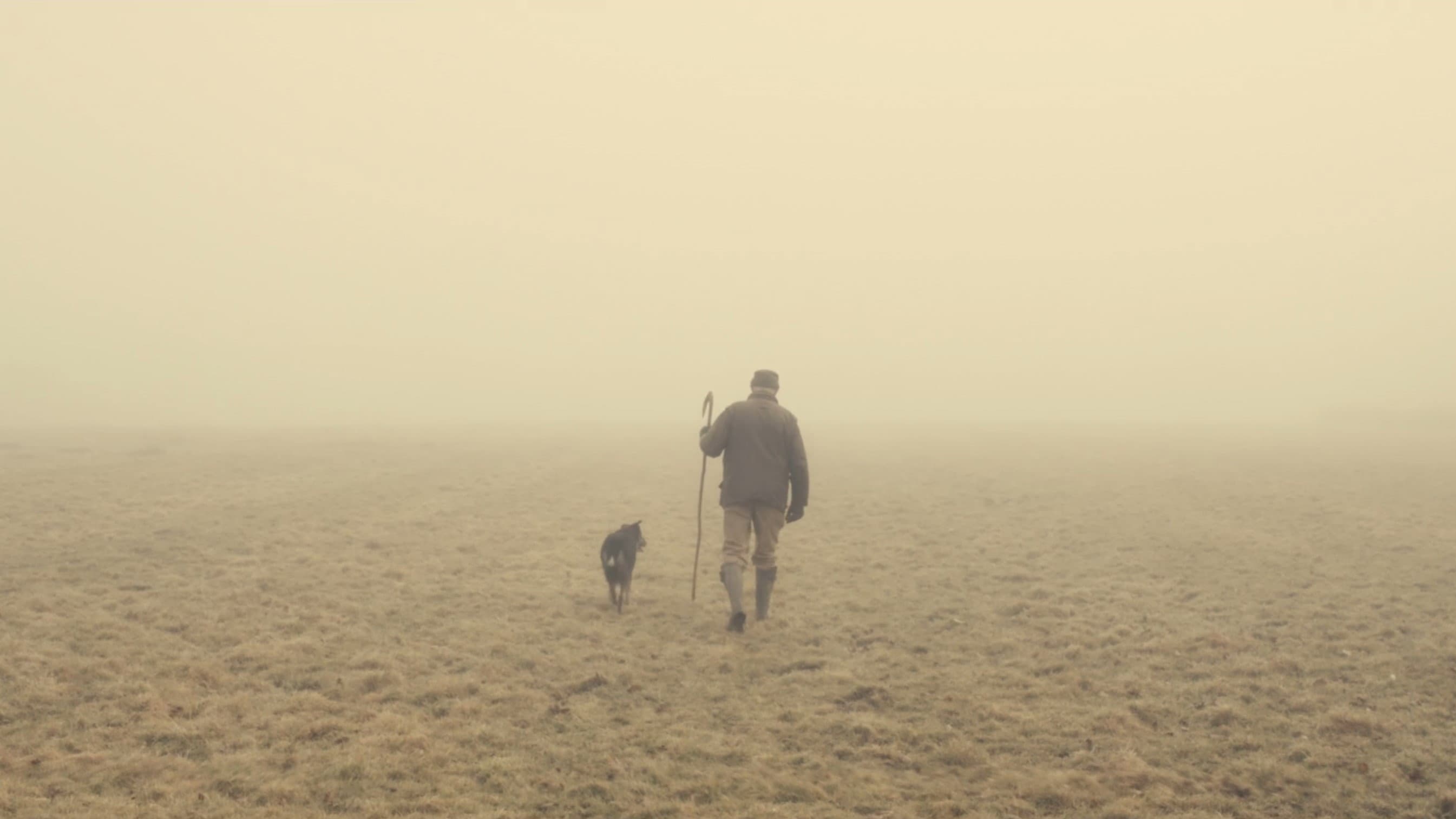 The Old Man and the Land - immagine
