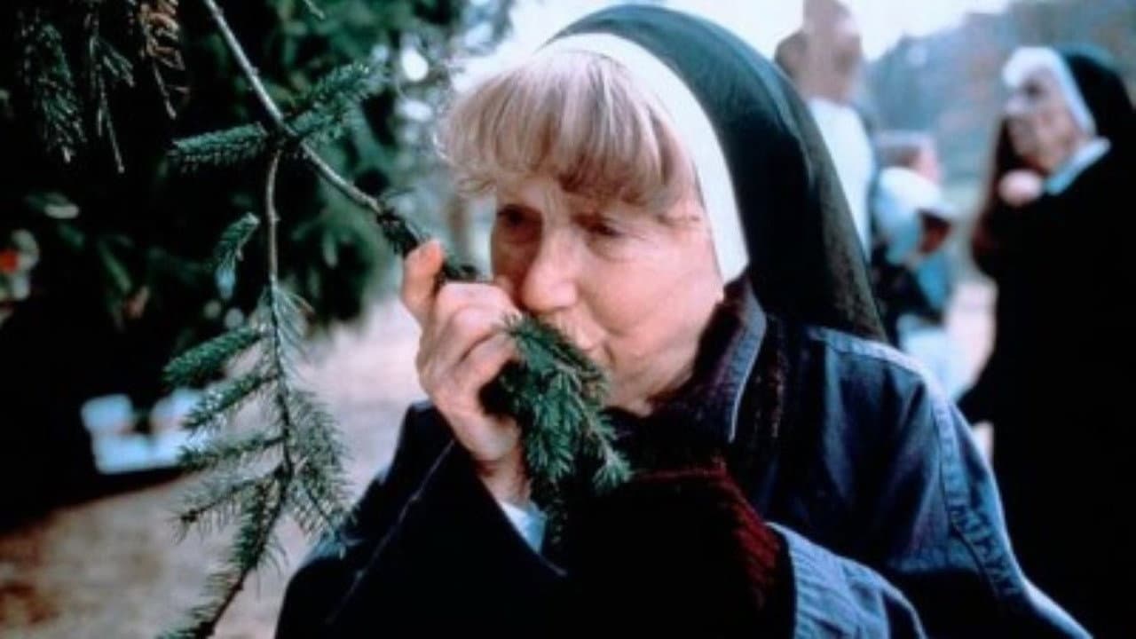The Christmas Tree - immagine