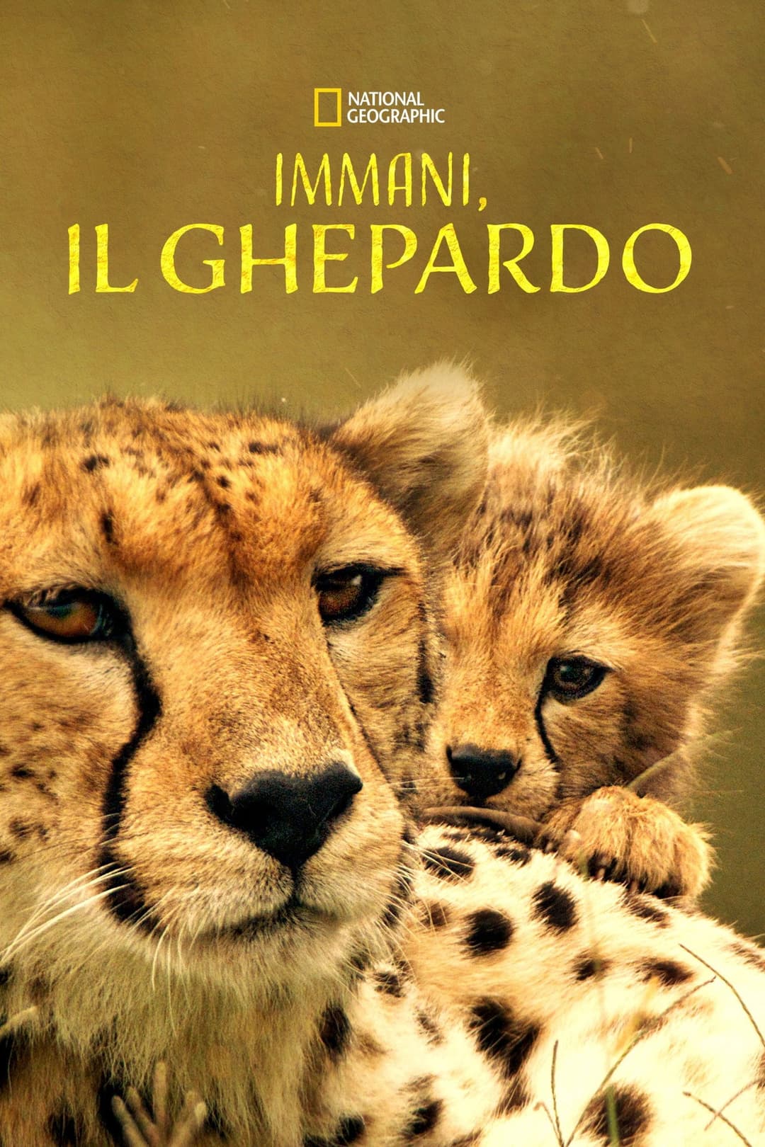 Poster di The Way of the Cheetah