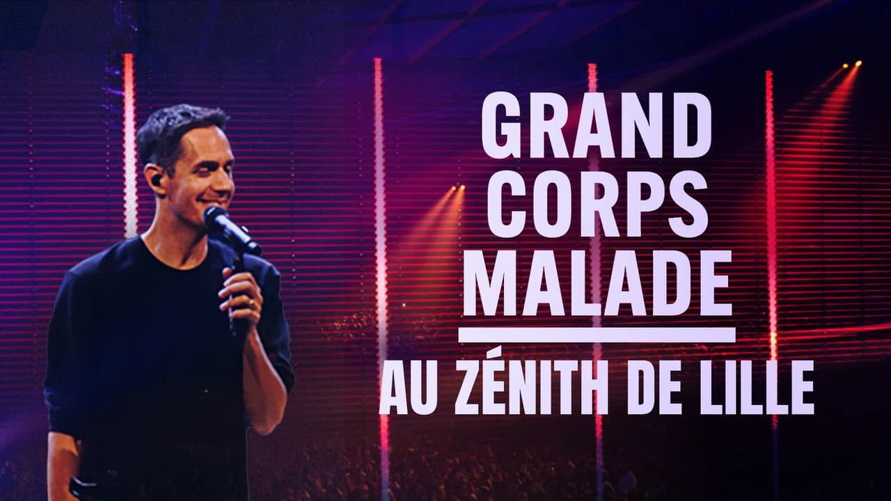 Grand Corps Malade au Zénith de Lille - immagine