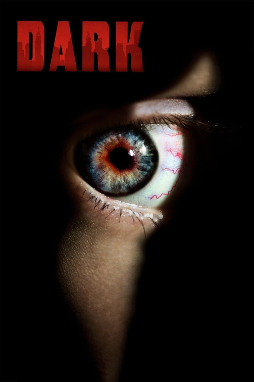 Poster di Dark
