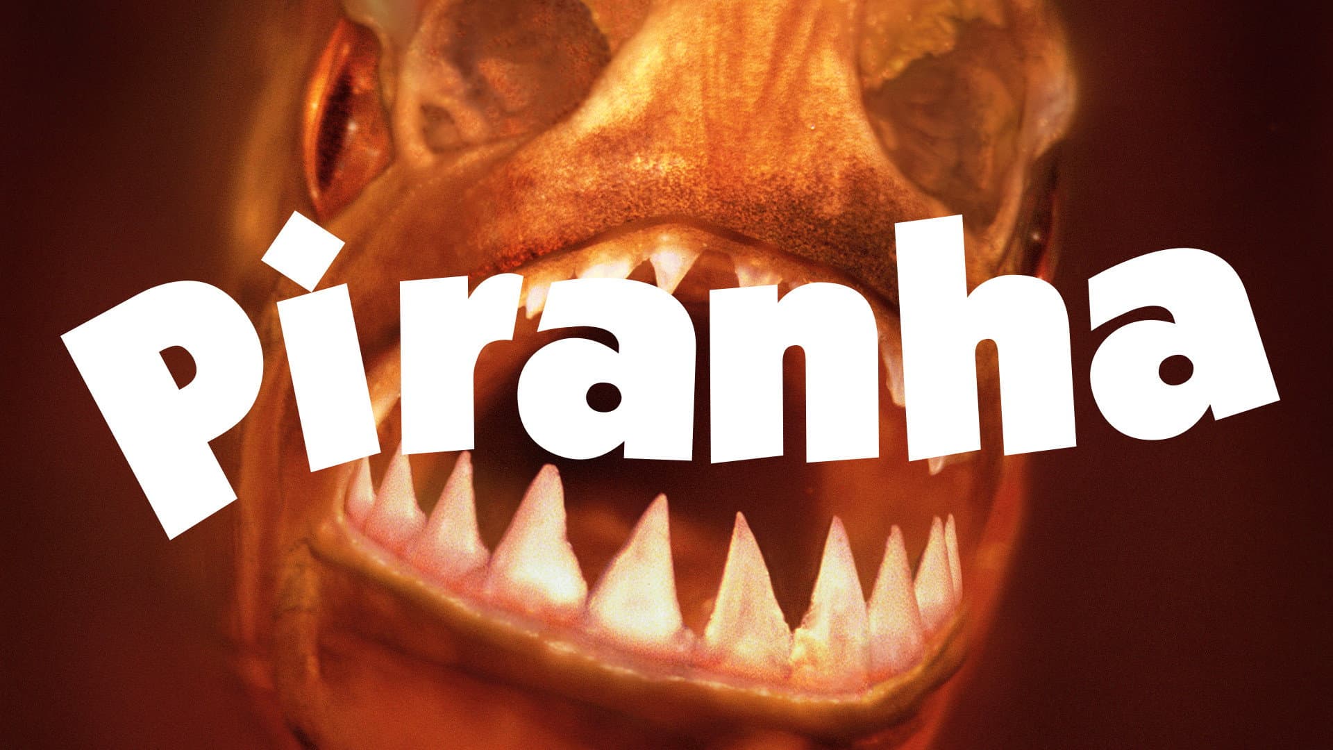 Piranha - La morte viene dall'acqua - immagine