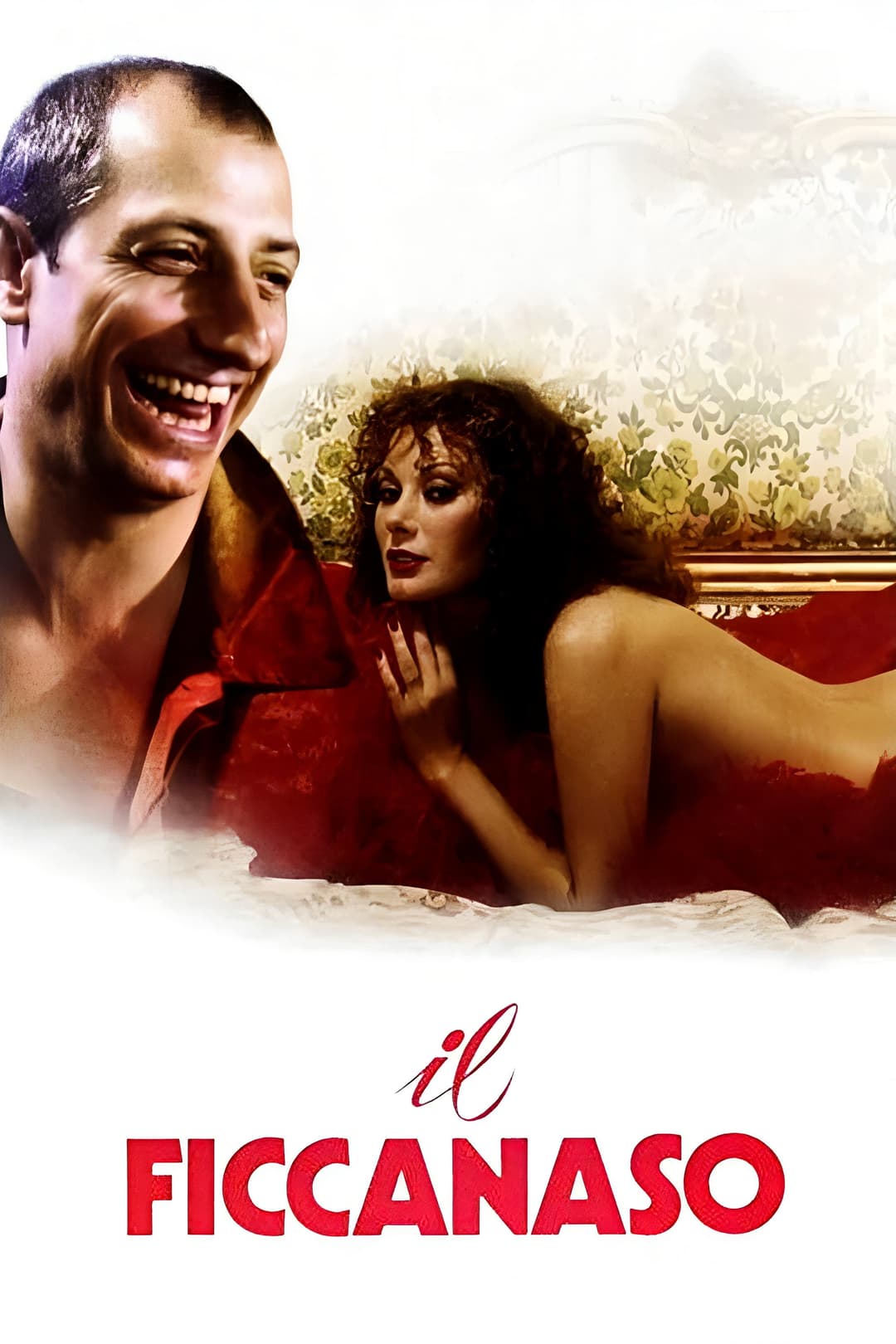 Poster di Il ficcanaso