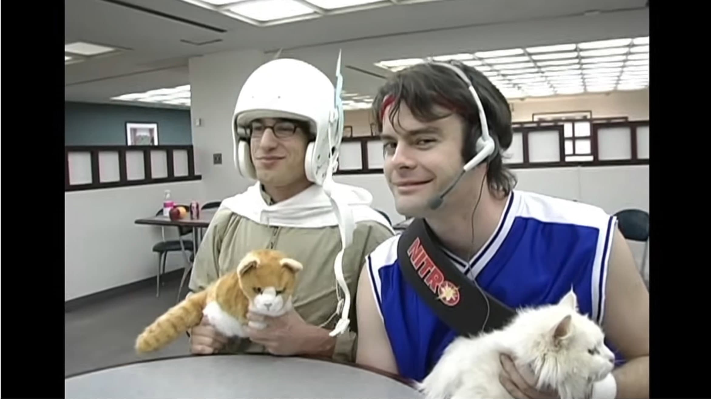 Laser Cats! - immagine
