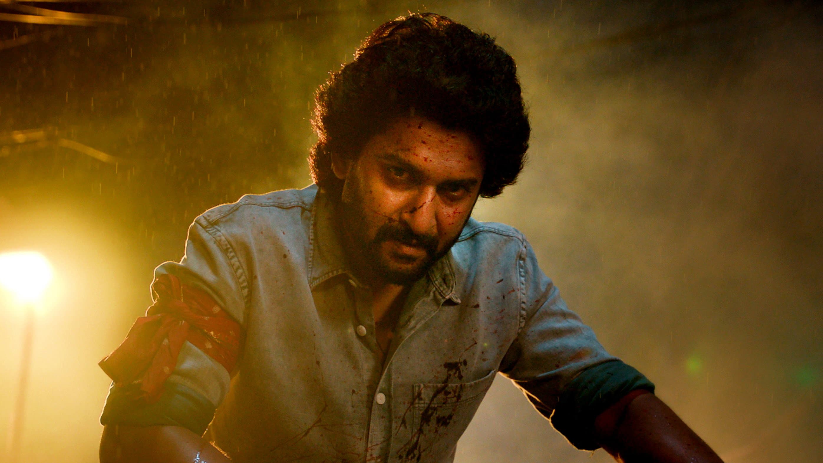Saripodhaa Sanivaaram - immagine