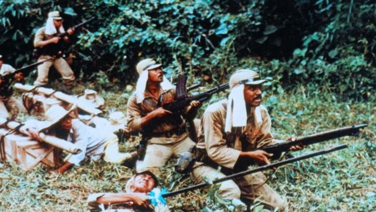 Safari senza ritorno - immagine