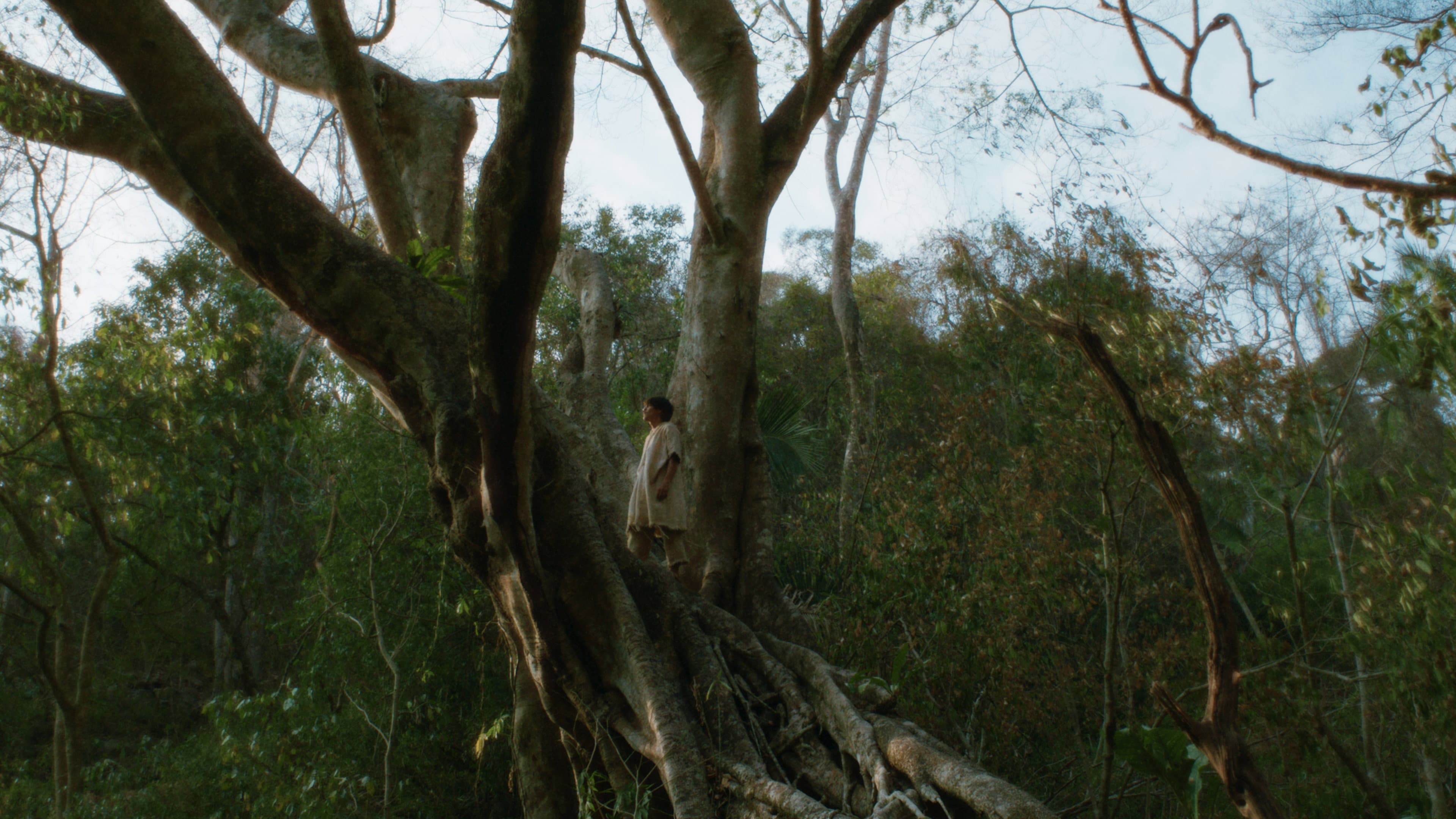 Eureka - immagine