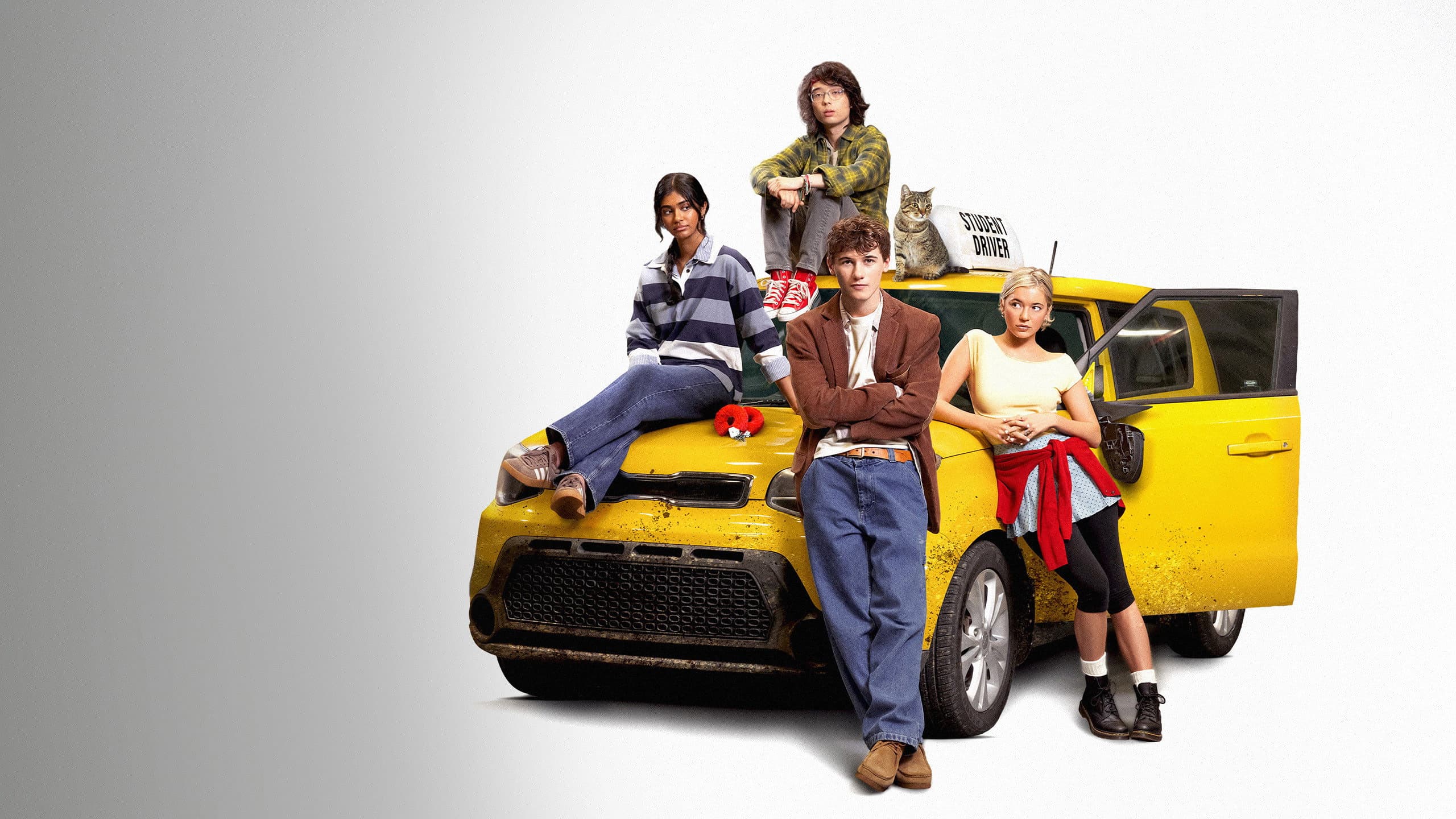 Driver's Ed - Guida contromano - immagine