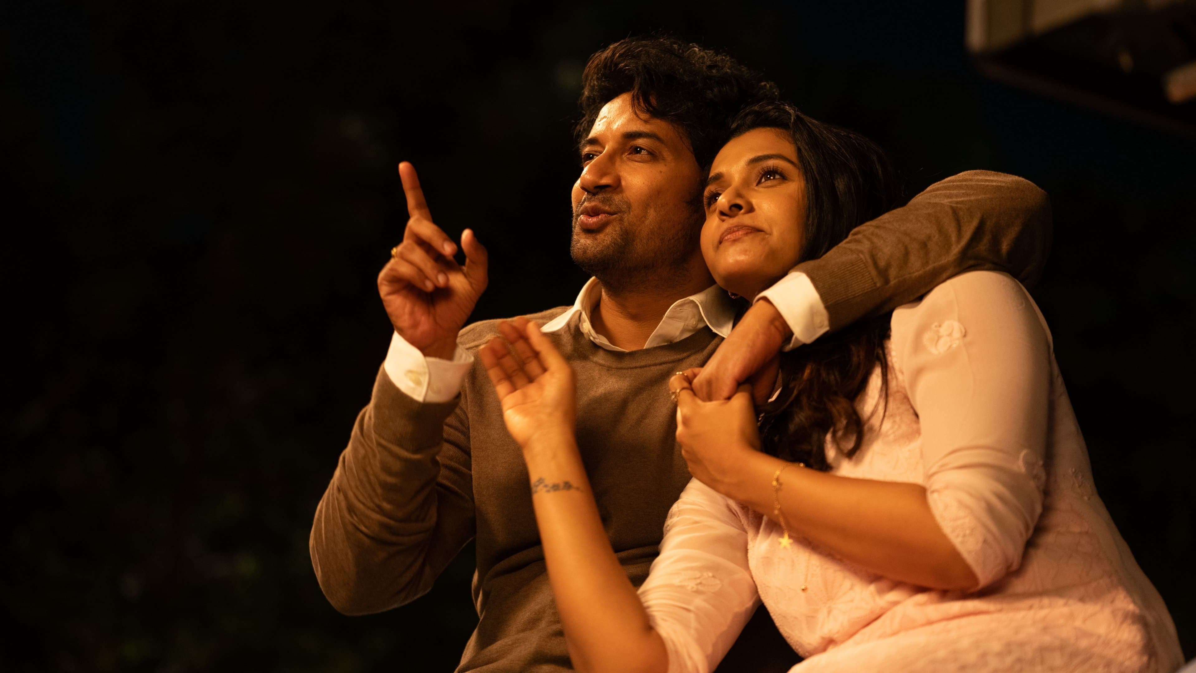 జీబ్రా - immagine
