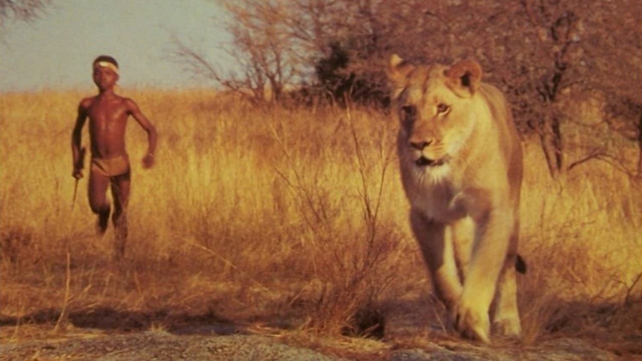 L'Enfant lion - immagine