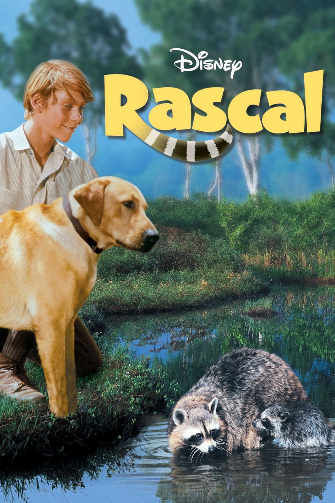 Poster di Rascal, l'orsetto lavatore