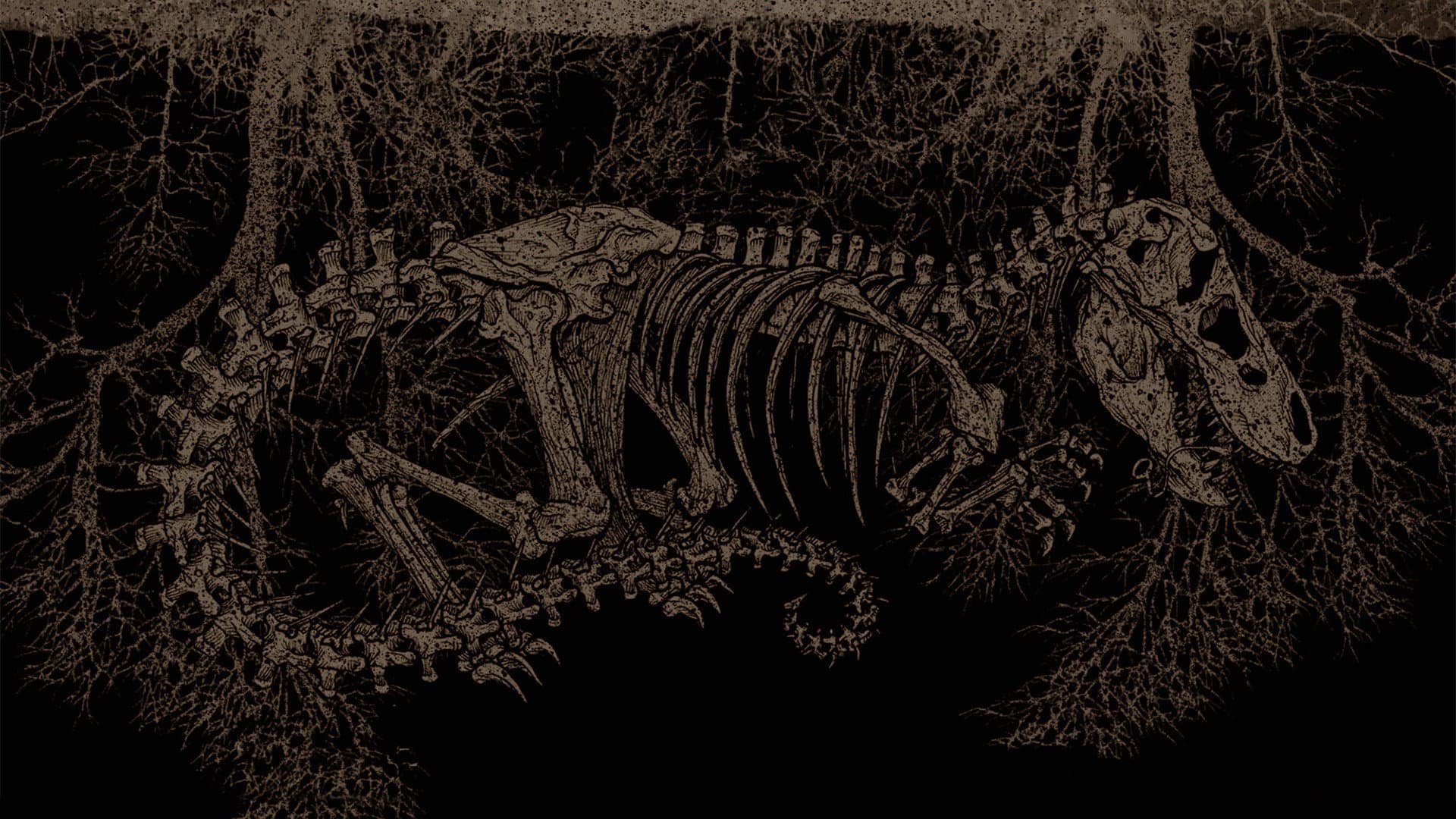 Tirannosauro - immagine