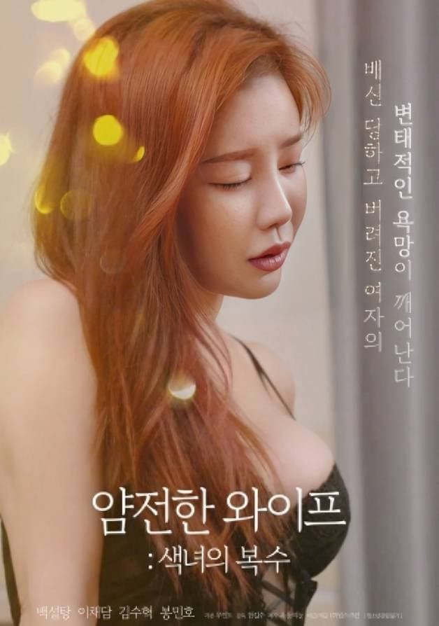 Poster di 얌전한 와이프 : 색녀의 복수