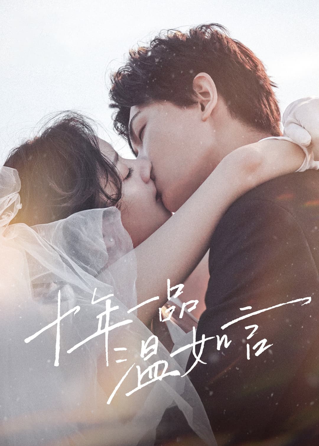 Poster di 十年一品温如言