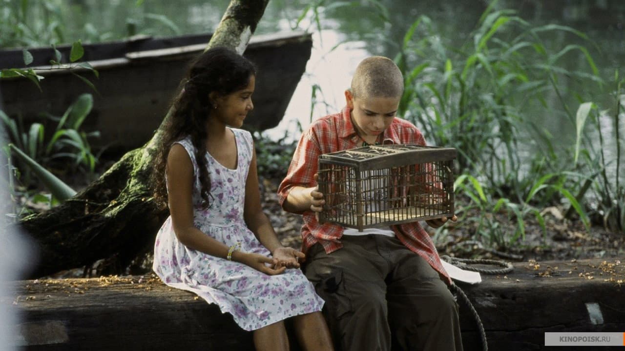 The Blue Butterfly - immagine