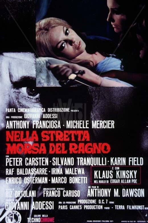 Poster di Nella stretta morsa del ragno