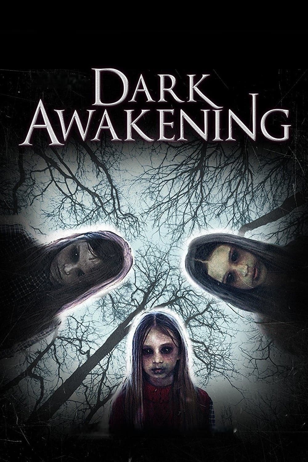 Poster di Dark Awakening
