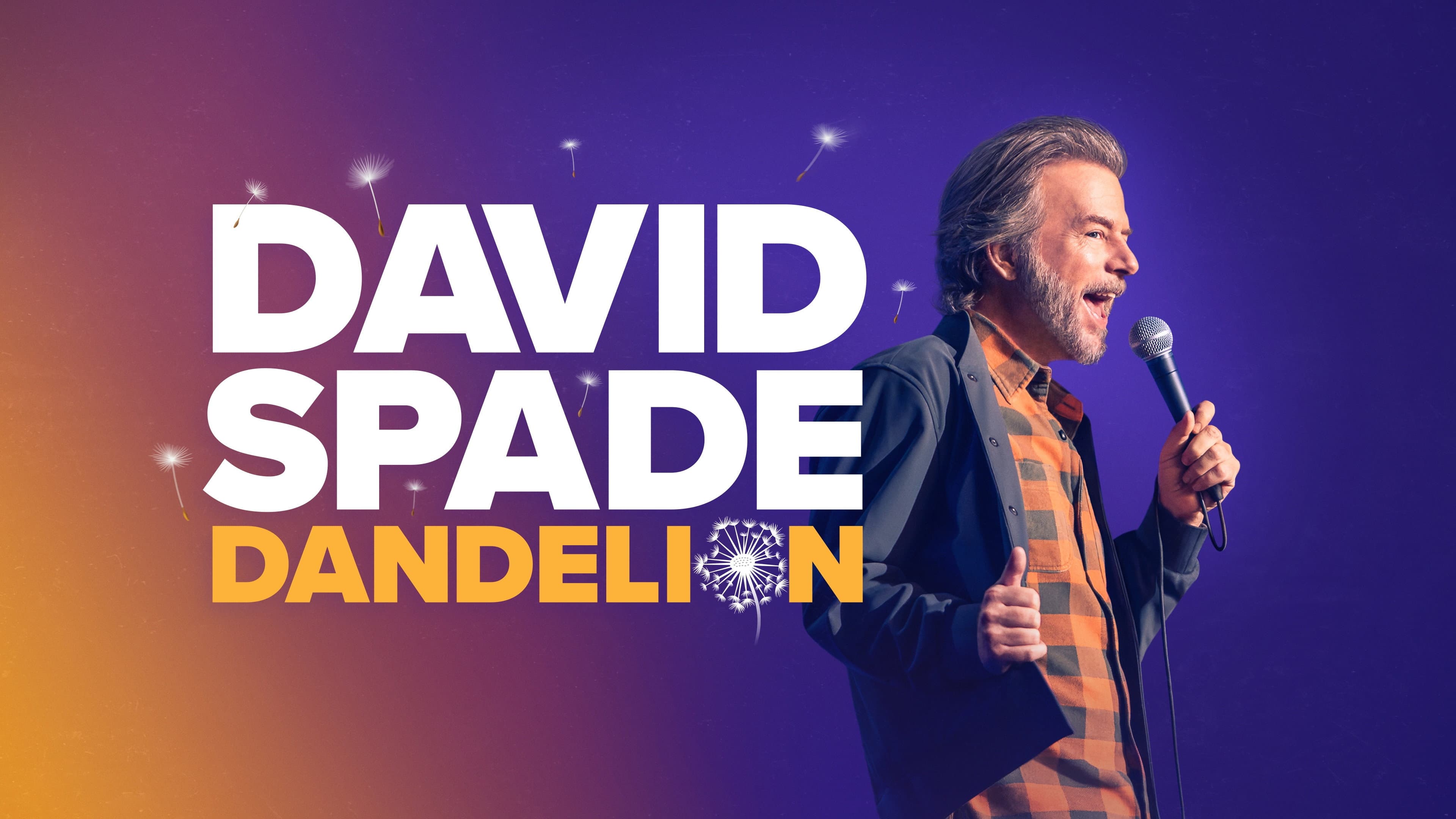 David Spade: Dandelion - immagine