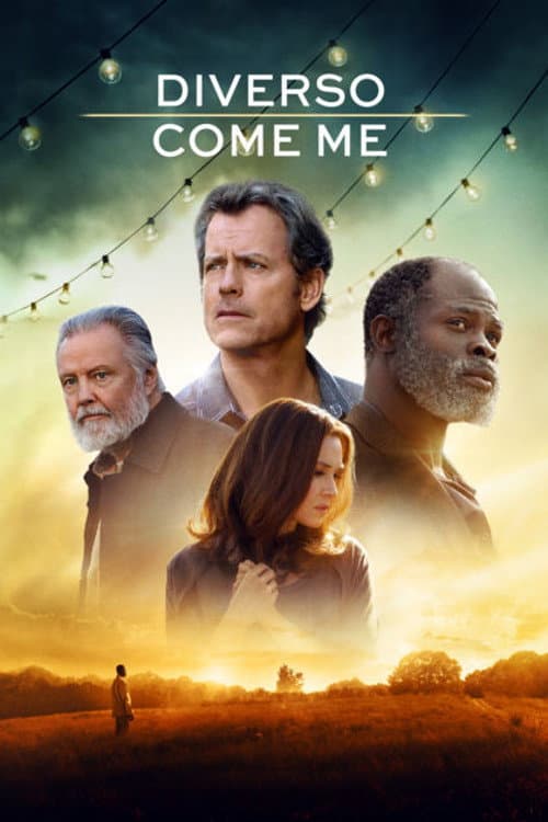 Poster di Diverso come me