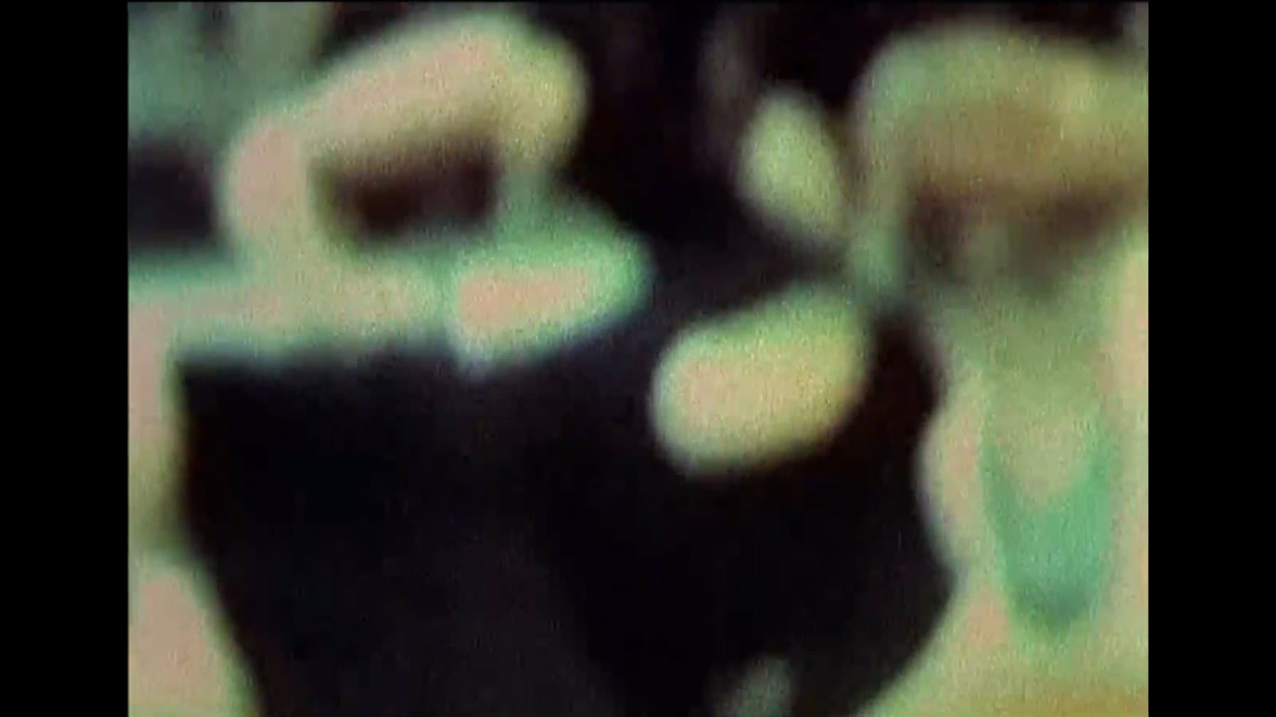 Julien Donkey-Boy - immagine