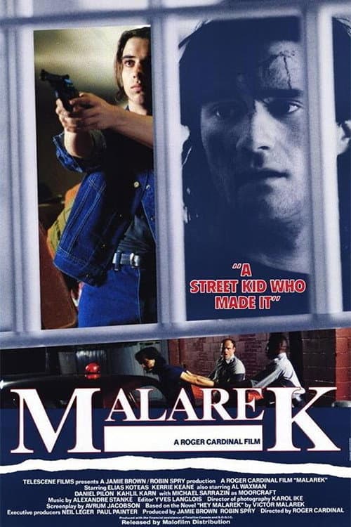 Poster di Malarek
