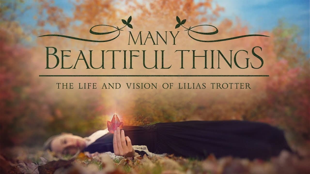 Many Beautiful Things - immagine