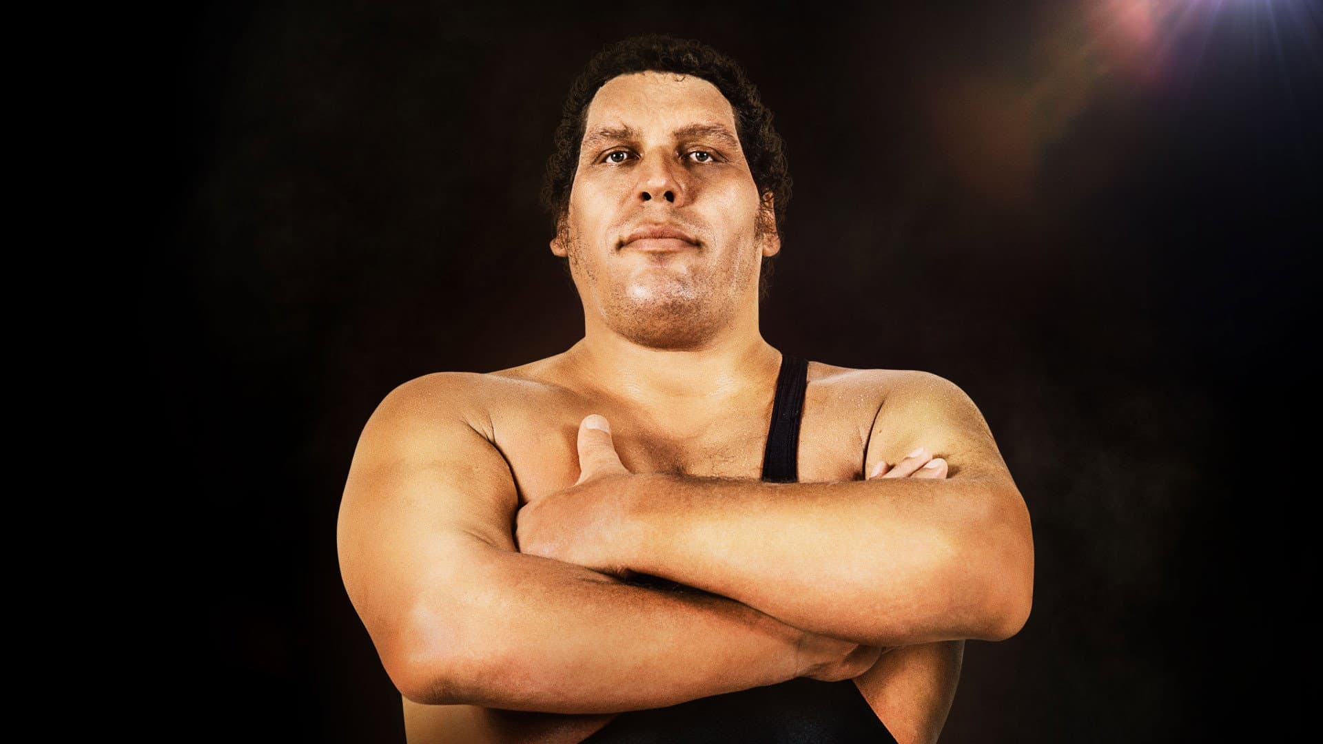 Andre the Giant - immagine