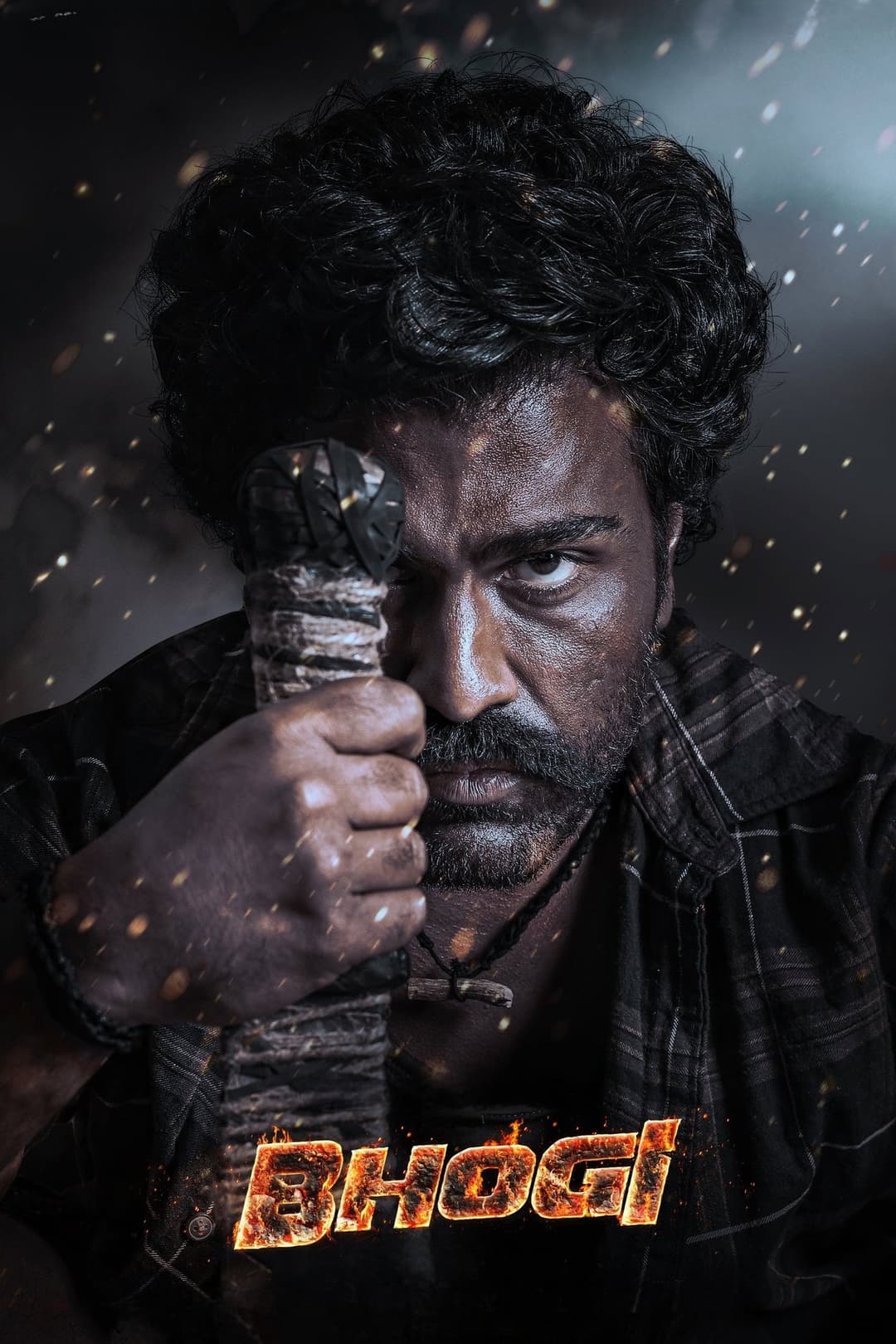 Poster di భోగి