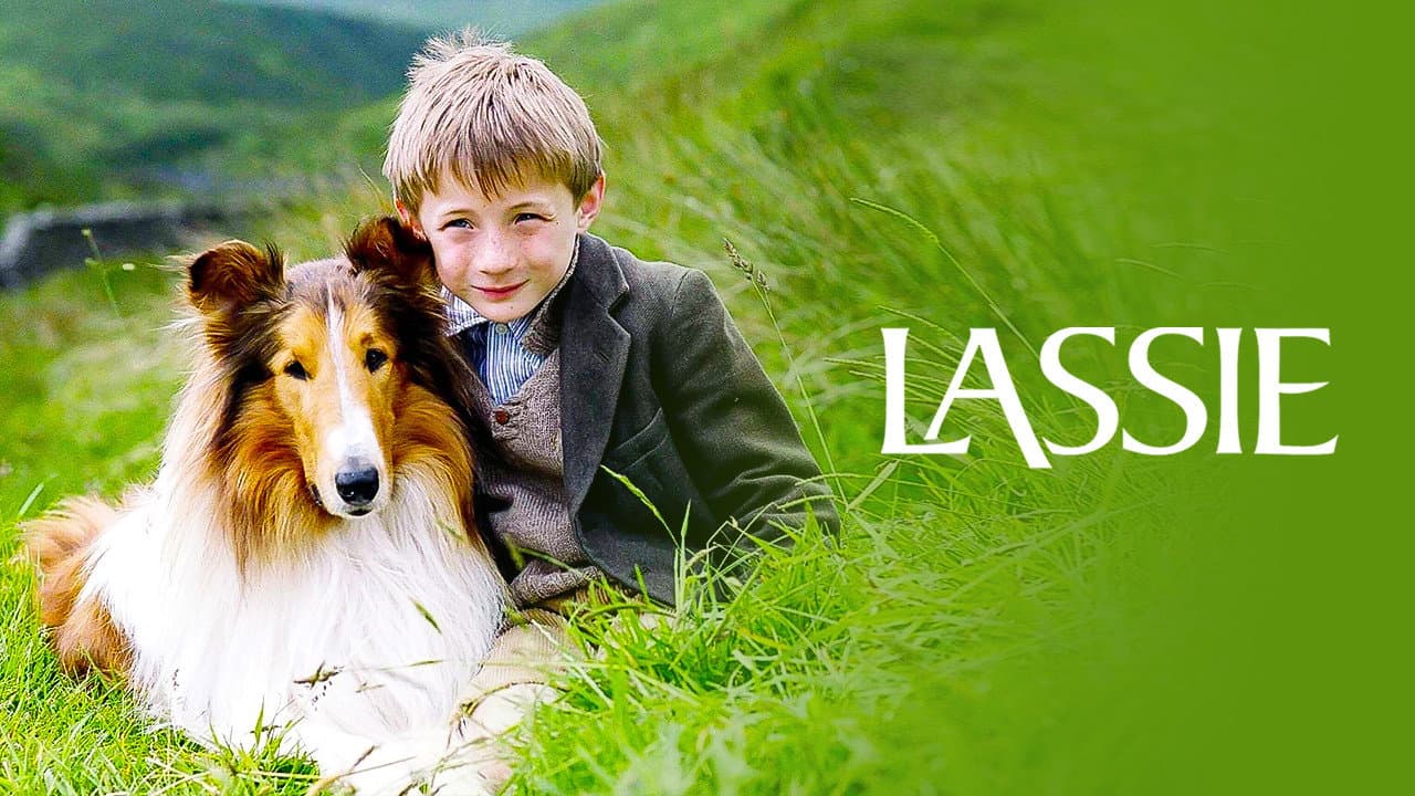 Lassie - immagine