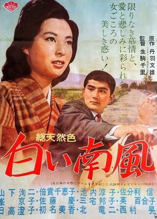 Poster di 白い南風