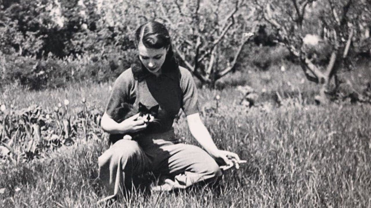 Vivien Leigh: Scarlett and Beyond - immagine