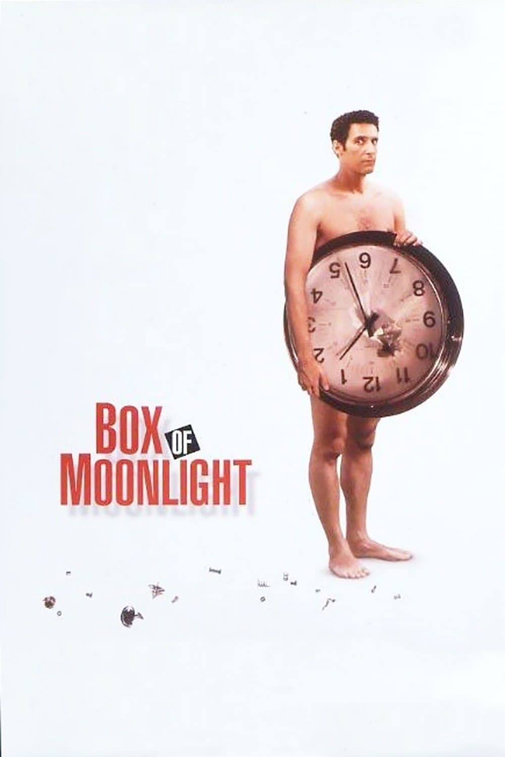 Poster di Box of Moonlight