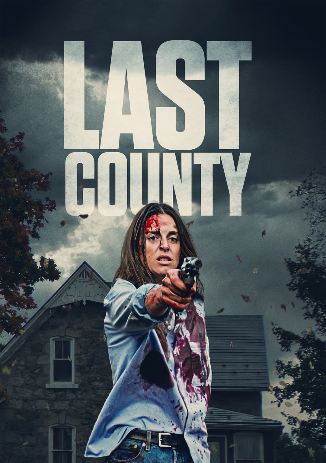 Poster di Last County